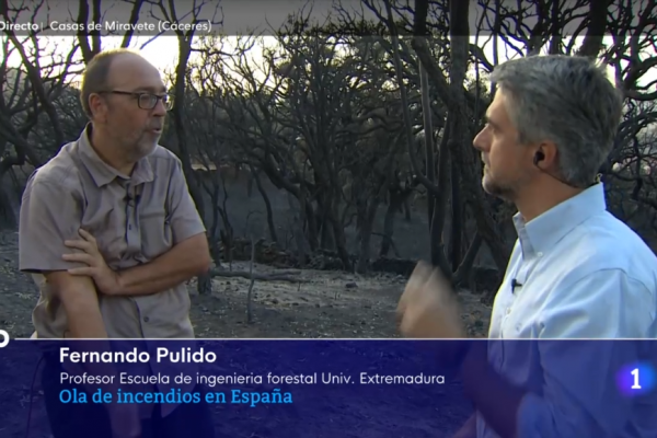 El Dr. Fernando Pulido, entrevistado en el Telediario de RTVE, reflexiona sobre la problemática de los GIF de 2022